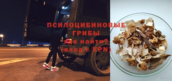 не бодяженный Строитель